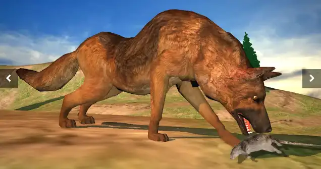  New Angry Dog Attack Competition: Dog Games – SellUnitySourceCode.com screenshot 3